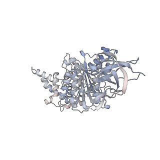 15567_8ape_A1_v1-0
rotational state 1e of the Trypanosoma brucei mitochondrial ATP synthase dimer