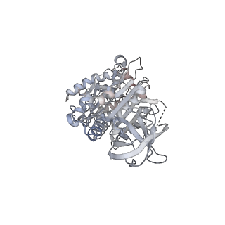 15567_8ape_B1_v1-0
rotational state 1e of the Trypanosoma brucei mitochondrial ATP synthase dimer