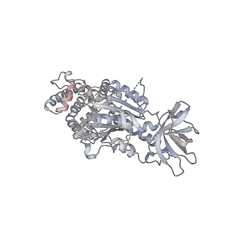 15567_8ape_C1_v1-0
rotational state 1e of the Trypanosoma brucei mitochondrial ATP synthase dimer