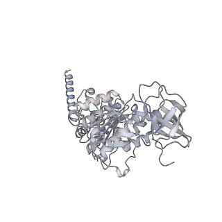 15567_8ape_D1_v1-0
rotational state 1e of the Trypanosoma brucei mitochondrial ATP synthase dimer
