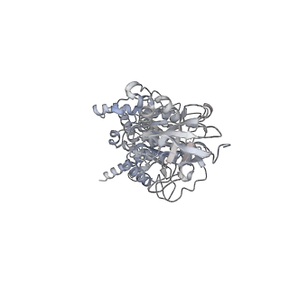 15567_8ape_E1_v1-0
rotational state 1e of the Trypanosoma brucei mitochondrial ATP synthase dimer