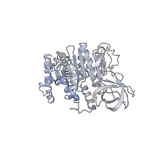 15567_8ape_F1_v1-0
rotational state 1e of the Trypanosoma brucei mitochondrial ATP synthase dimer