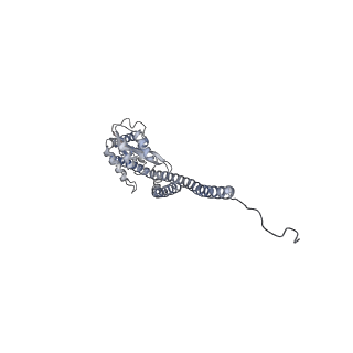 15567_8ape_G1_v1-0
rotational state 1e of the Trypanosoma brucei mitochondrial ATP synthase dimer
