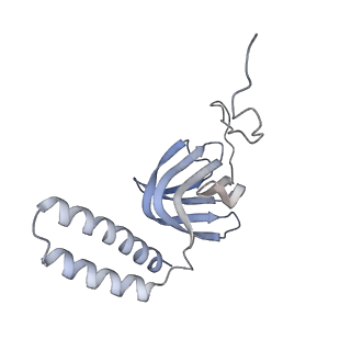 15567_8ape_H1_v1-0
rotational state 1e of the Trypanosoma brucei mitochondrial ATP synthase dimer