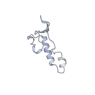 15567_8ape_I1_v1-0
rotational state 1e of the Trypanosoma brucei mitochondrial ATP synthase dimer