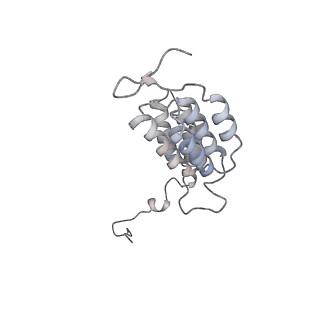 15567_8ape_J1_v1-0
rotational state 1e of the Trypanosoma brucei mitochondrial ATP synthase dimer
