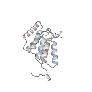 15567_8ape_K1_v1-0
rotational state 1e of the Trypanosoma brucei mitochondrial ATP synthase dimer
