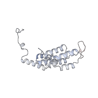 15567_8ape_L1_v1-0
rotational state 1e of the Trypanosoma brucei mitochondrial ATP synthase dimer
