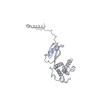 15567_8ape_M1_v1-0
rotational state 1e of the Trypanosoma brucei mitochondrial ATP synthase dimer