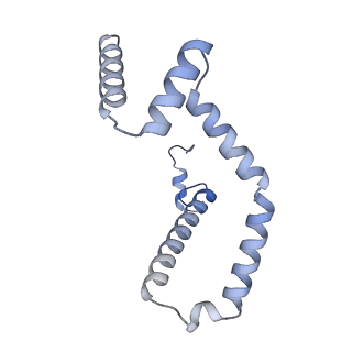 15567_8ape_M_v1-0
rotational state 1e of the Trypanosoma brucei mitochondrial ATP synthase dimer