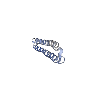 15567_8ape_P1_v1-0
rotational state 1e of the Trypanosoma brucei mitochondrial ATP synthase dimer