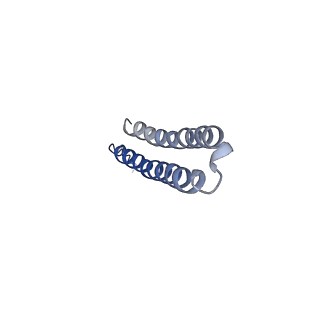 15567_8ape_Q1_v1-0
rotational state 1e of the Trypanosoma brucei mitochondrial ATP synthase dimer