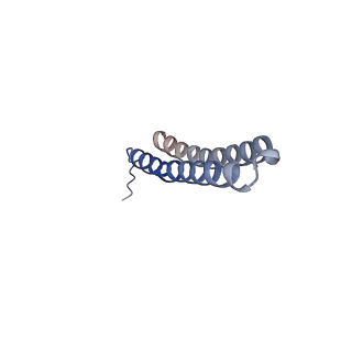 15567_8ape_R1_v1-0
rotational state 1e of the Trypanosoma brucei mitochondrial ATP synthase dimer