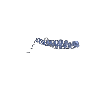 15567_8ape_S1_v1-0
rotational state 1e of the Trypanosoma brucei mitochondrial ATP synthase dimer