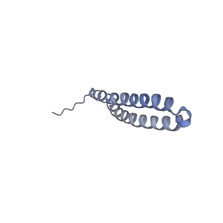 15567_8ape_T1_v1-0
rotational state 1e of the Trypanosoma brucei mitochondrial ATP synthase dimer