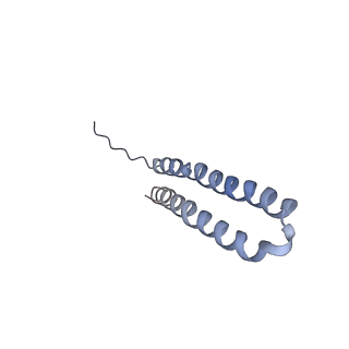 15567_8ape_V1_v1-0
rotational state 1e of the Trypanosoma brucei mitochondrial ATP synthase dimer