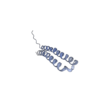 15567_8ape_W1_v1-0
rotational state 1e of the Trypanosoma brucei mitochondrial ATP synthase dimer