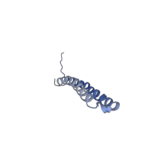 15567_8ape_X1_v1-0
rotational state 1e of the Trypanosoma brucei mitochondrial ATP synthase dimer
