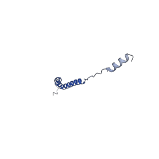 15567_8ape_c_v1-0
rotational state 1e of the Trypanosoma brucei mitochondrial ATP synthase dimer