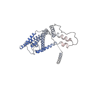 15567_8ape_d_v1-0
rotational state 1e of the Trypanosoma brucei mitochondrial ATP synthase dimer