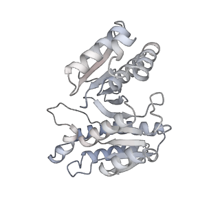 15567_8ape_g_v1-0
rotational state 1e of the Trypanosoma brucei mitochondrial ATP synthase dimer