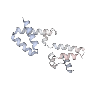 15567_8ape_h_v1-0
rotational state 1e of the Trypanosoma brucei mitochondrial ATP synthase dimer