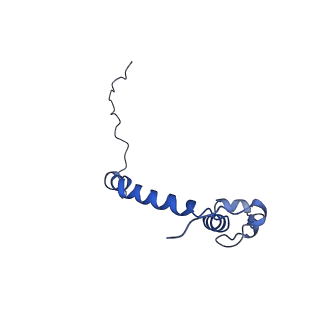 15567_8ape_k_v1-0
rotational state 1e of the Trypanosoma brucei mitochondrial ATP synthase dimer
