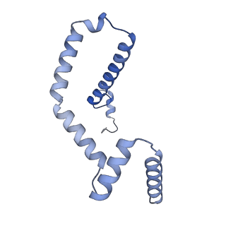 15567_8ape_m_v1-0
rotational state 1e of the Trypanosoma brucei mitochondrial ATP synthase dimer