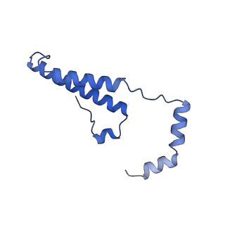 15567_8ape_o_v1-0
rotational state 1e of the Trypanosoma brucei mitochondrial ATP synthase dimer