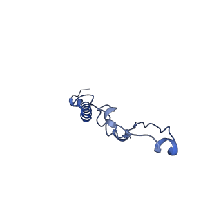 15567_8ape_p_v1-0
rotational state 1e of the Trypanosoma brucei mitochondrial ATP synthase dimer