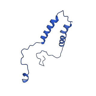 15567_8ape_q_v1-0
rotational state 1e of the Trypanosoma brucei mitochondrial ATP synthase dimer