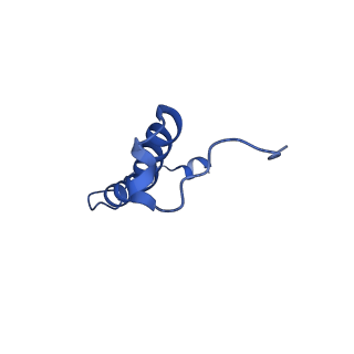 15567_8ape_r_v1-0
rotational state 1e of the Trypanosoma brucei mitochondrial ATP synthase dimer