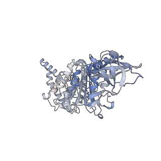 15568_8apf_A1_v1-0
rotational state 2a of the Trypanosoma brucei mitochondrial ATP synthase dimer