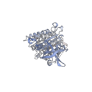 15568_8apf_B1_v1-0
rotational state 2a of the Trypanosoma brucei mitochondrial ATP synthase dimer