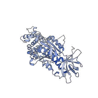 15568_8apf_C1_v1-0
rotational state 2a of the Trypanosoma brucei mitochondrial ATP synthase dimer