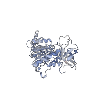 15568_8apf_D1_v1-0
rotational state 2a of the Trypanosoma brucei mitochondrial ATP synthase dimer