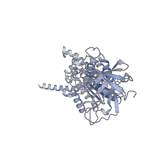 15568_8apf_E1_v1-0
rotational state 2a of the Trypanosoma brucei mitochondrial ATP synthase dimer