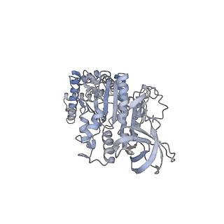15568_8apf_F1_v1-0
rotational state 2a of the Trypanosoma brucei mitochondrial ATP synthase dimer