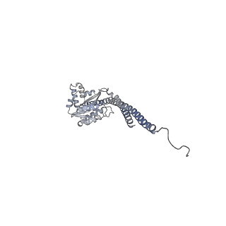 15568_8apf_G1_v1-0
rotational state 2a of the Trypanosoma brucei mitochondrial ATP synthase dimer