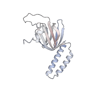 15568_8apf_H1_v1-0
rotational state 2a of the Trypanosoma brucei mitochondrial ATP synthase dimer