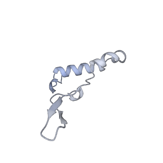 15568_8apf_I1_v1-0
rotational state 2a of the Trypanosoma brucei mitochondrial ATP synthase dimer