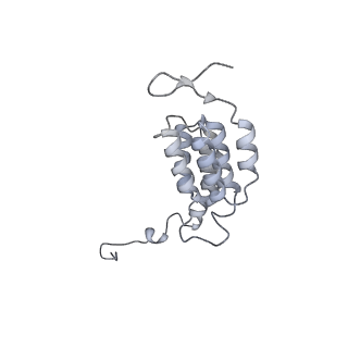 15568_8apf_J1_v1-0
rotational state 2a of the Trypanosoma brucei mitochondrial ATP synthase dimer