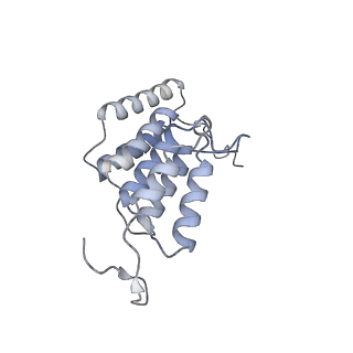 15568_8apf_K1_v1-0
rotational state 2a of the Trypanosoma brucei mitochondrial ATP synthase dimer