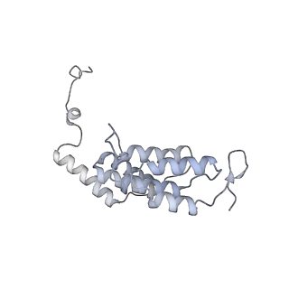 15568_8apf_L1_v1-0
rotational state 2a of the Trypanosoma brucei mitochondrial ATP synthase dimer