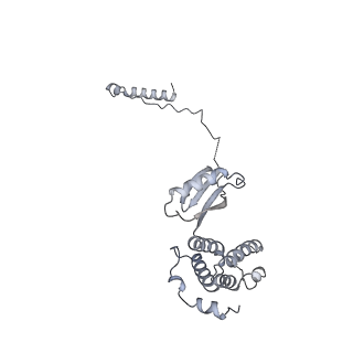 15568_8apf_M1_v1-0
rotational state 2a of the Trypanosoma brucei mitochondrial ATP synthase dimer