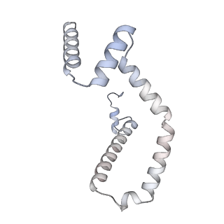 15568_8apf_M_v1-0
rotational state 2a of the Trypanosoma brucei mitochondrial ATP synthase dimer