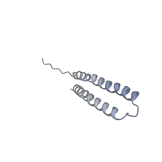 15568_8apf_O1_v1-0
rotational state 2a of the Trypanosoma brucei mitochondrial ATP synthase dimer