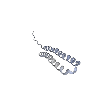 15568_8apf_P1_v1-0
rotational state 2a of the Trypanosoma brucei mitochondrial ATP synthase dimer