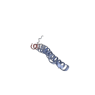 15568_8apf_R1_v1-0
rotational state 2a of the Trypanosoma brucei mitochondrial ATP synthase dimer
