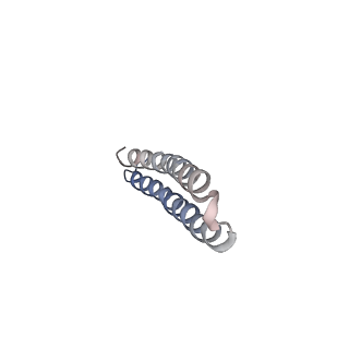 15568_8apf_S1_v1-0
rotational state 2a of the Trypanosoma brucei mitochondrial ATP synthase dimer